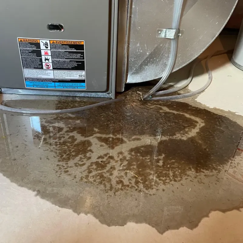 Appliance Leak Cleanup in Blue Springs, MO