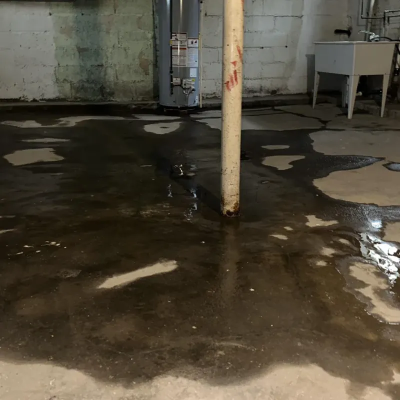 Emergency Water Extraction And Removal in Blue Springs, MO